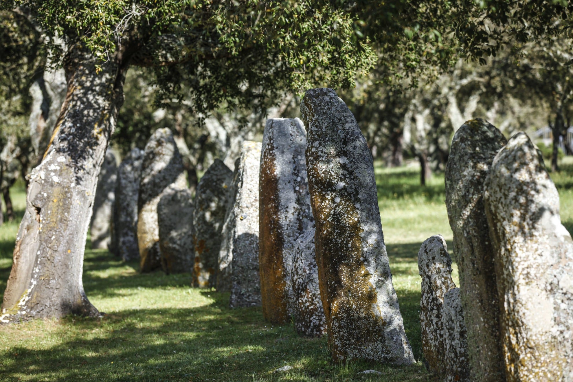 Alignment of menhirs in Goni